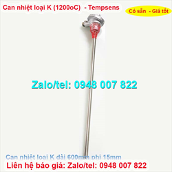 Can nhiệt loại K,1200oC dài 600mm Tempsens